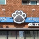 가장아름답개 이미지