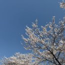 은정축사 | W3. 스튜디오 셀린 (celin) 계약 후기 ㅣ웨딩 플래너 없이 결혼 준비하기ෆ