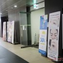 효니아이래쉬