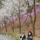 도깨비식당 이미지