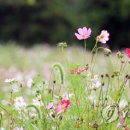 추자도 여행자센터&쉼터 이미지