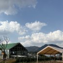 행복한마실농장 | 용인 아이랑 가볼만한곳 &#39;포레스트벨&#39; 농장체험/동물먹이주기/할로윈시즌/수확체험 후기