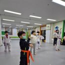 경희대솔밭태권도 이미지