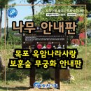 목포디자인나라