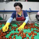 정안영농조합법인 이미지