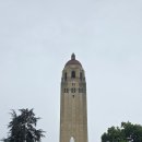 캠퍼스 | 스탠퍼드 대학교 캠퍼스 투어 후기 (비 오는 날 방문)