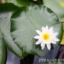 갈맷길(6-1구간) 이미지