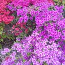 곤양축구장 이미지