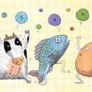 산성식품 이미지