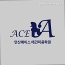 안산단원구애견미용학원 안산에이스애견미용학원 국비지원으로 시작해요