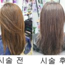 큐사랑 월곡점 | 월곡동 두피케어 탈모케어 천연염색 잘하는 큐사랑 월곡점 찐 후기 주차가능