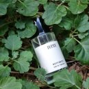 딥포레스트 | 듀파인(DUPINE) 니치향수 딥포레스트