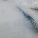 뷰앤미속눈썹&왁싱 네이버블로그