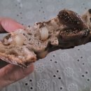 빵굼터 | 약수역 빵집 빵굼터 포장 후기|맘모스·밤식빵·무화과 깜바뉴까지 든든하게