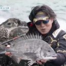 도시어부 이미지