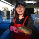 어부의선 이미지