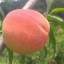 정암농장 이미지