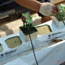 유리농장 이미지