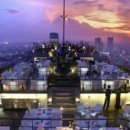 문바이오 이미지