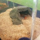 한국에듀벅스 이미지