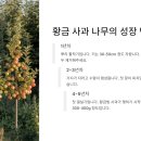 황금퇴비비료 이미지