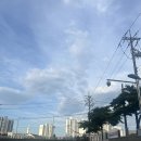 한빛약국 이미지