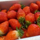 금왕농장 이미지