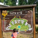 우두근린공원 | 경기도 화성 아이와 가볼만한 곳ㅡ상신도시숲&#39;향남웃음만발놀이숲&#39;