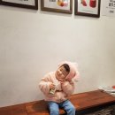 카페트리커피나무 이미지