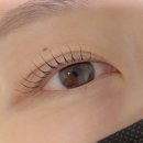 클래식컬 짐 | 건대속눈썹펌 잘하는 곳 앳던뷰티 청화디자이너 맞춤 컬 후기