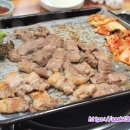 돈우촌