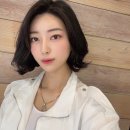 보니헤어 이미지
