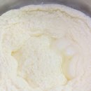 젤라또공대 이미지