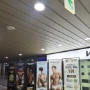 대성휘트니스헬스 | 월성동 헬스장 비전휘트니스 진천점 700평대 24시간 운영 실사용 후기