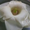 금강농장 이미지