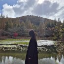 [데이트] 11/9 경상북도 수목원