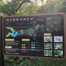 월영갈비 이미지