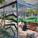 벌교읍행정복지센터 이미지