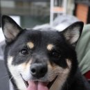 갈릴리수산 이미지