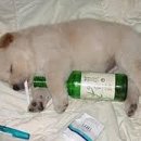 웃으면복이와요 이미지