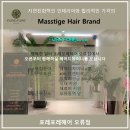 포레포레헤어 오류점