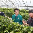 보은농장2 이미지