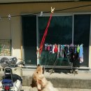 공주닭발 이미지