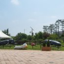 그린타워 이미지