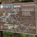 대황강 둘레길 이미지