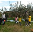 구만농장 이미지