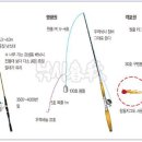 시즌낚시 티스토리