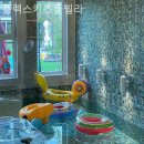 플렉스 키즈풀빌라 이미지