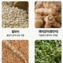 정가네떡 | 쑥향 가득한 인절미 추천, 부모님 간식으로 준비한 정가네 찰보리 쑥떡 후기