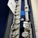 플룻 (B)? 이미지